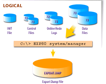 Llogical backups consisting of INIT, Control, Online Redo Logs and Data Files
