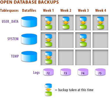 Routine a DBA must follow to make an open database backup
