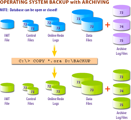 Operating system backup with archiving