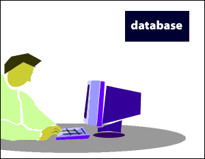 The user interacting with the database via the computer