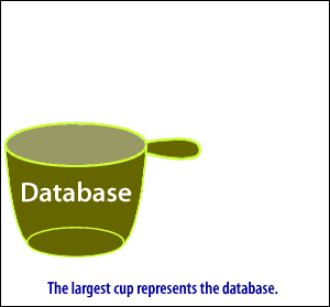 The largest cup represents the database