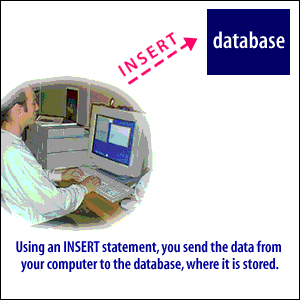 2) Use an INSERT statement, you send data from your computer to the database, where it is stored.