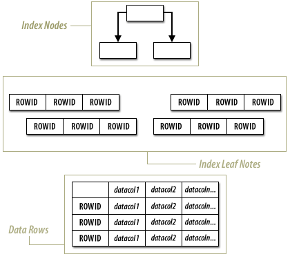 1) In a standard table and index, the index includes index nodes and a 'bottom' level of leaf nodes, which contain ROWIDs that point to rows in the data table.