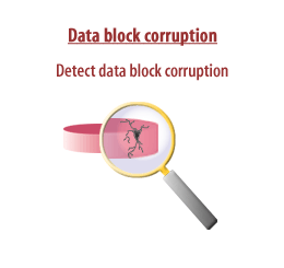 Detect data block corruption.