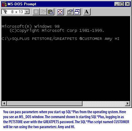 1) You can pass parameters when you start up SQL*Plus from the operating system. Here you set an MS_DOS window. The command shown is starting SQL*Plus, logging in as the PETSTORE user with the GREATPETS password.