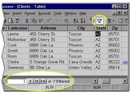 Status bar of the datasheet now reads records