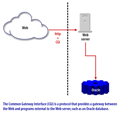 The Common Gateway Interface is a protocol that provides a gateway between the web and programs external to the web server, such as an Oracle Database