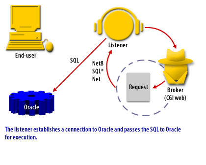 The listener establishes a connection to Oracle and passes the SQL to Oracle for execution