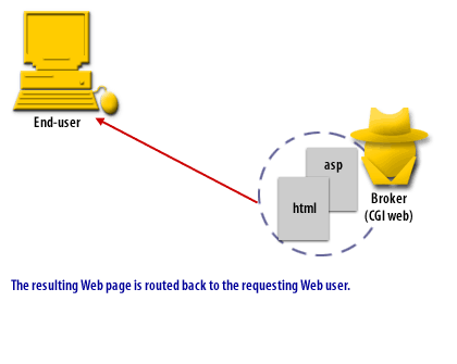 The resulting Web Page is routed back to the requesting Web users 