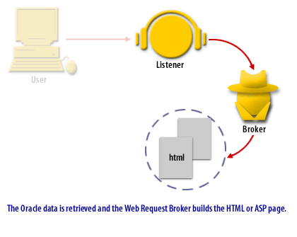 The Oracle data is retrieved and the web request broker builds the HTML or JSP page.