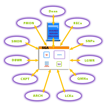 System Global Area is a memory area containing the database buffer cache