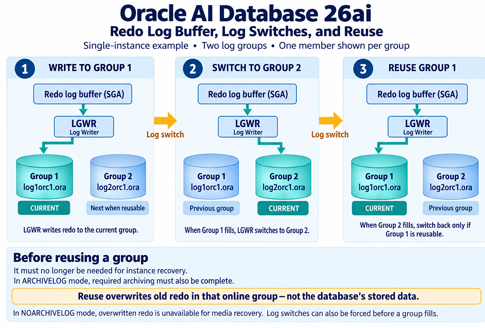 Three-step diagram of Oracle AI Database 26ai redo log buffer, log switches, and reuse: LGWR writes to Group 1 (log1orc1.ora), a log switch moves writing to Group 2 (log2orc1.ora), and Group 1 becomes reusable once it is no longer needed for instance recovery and, in ARCHIVELOG mode, has been archived