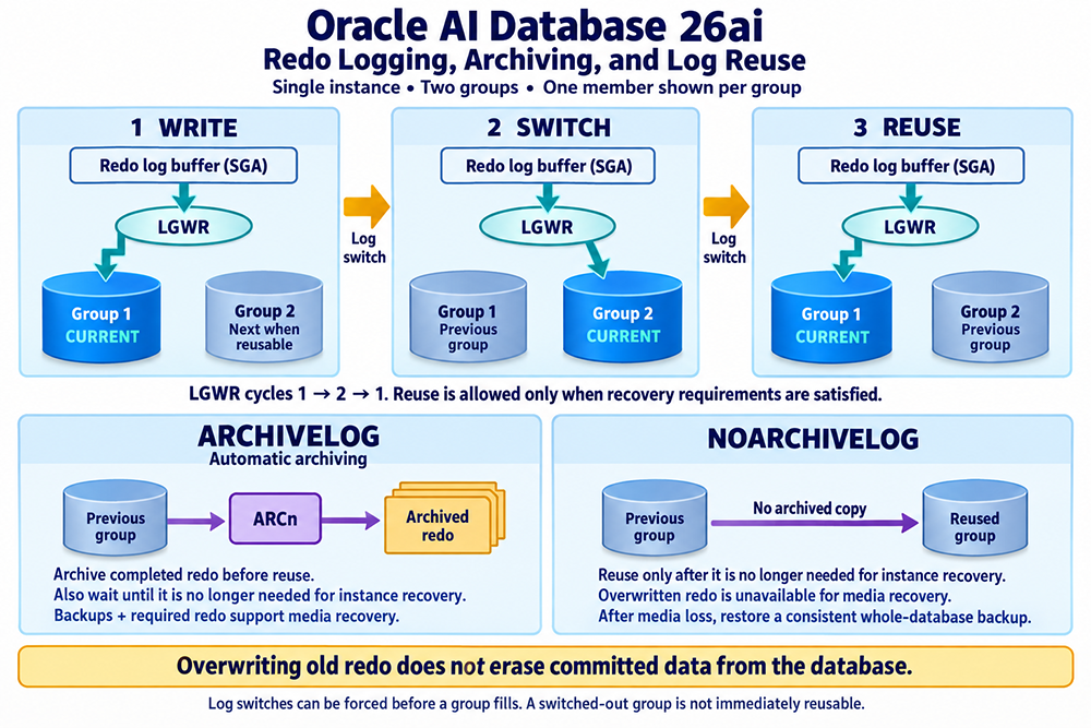 Oracle AI Database 26ai redo logging, archiving, and log reuse across three steps, with a comparison of ARCHIVELOG and NOARCHIVELOG reuse rules