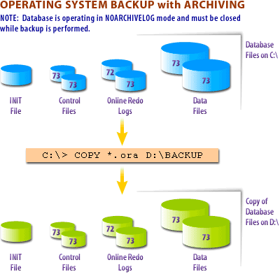 Physical backup without archiving