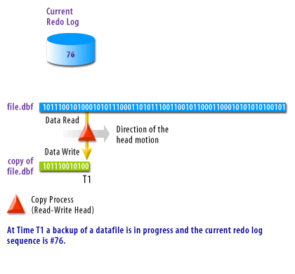 1) At Time T1 a backup of a datafile is in progress and the current redo log sequence is 76.