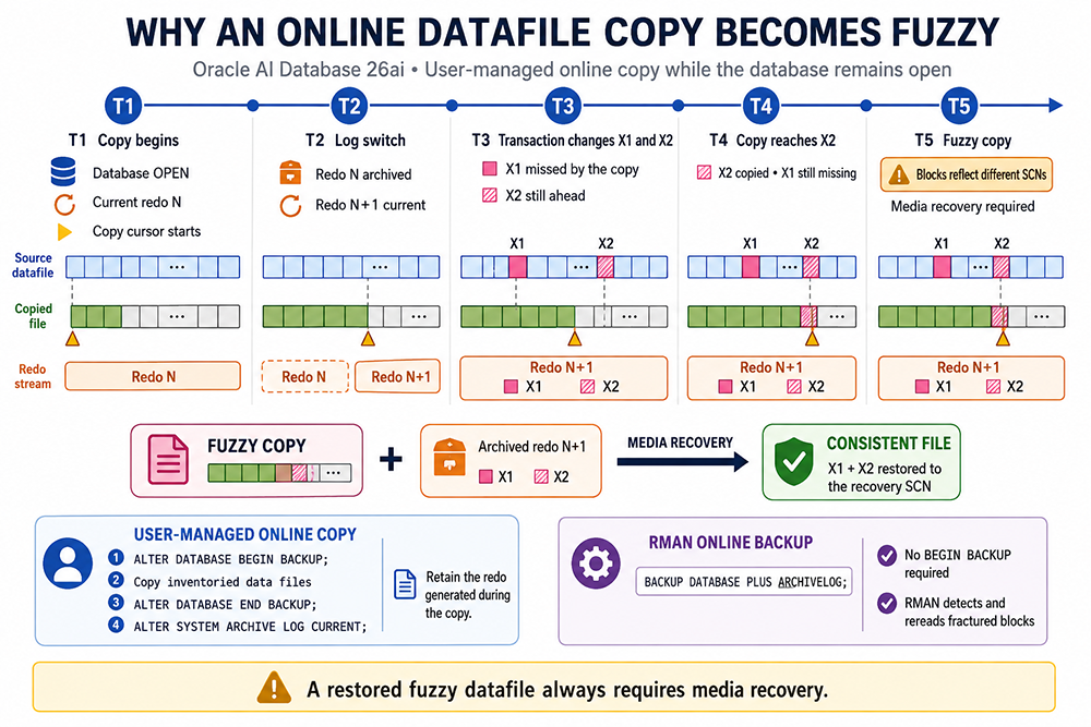 Oracle 26ai timeline showing how a user-managed online datafile copy becomes fuzzy, how archived redo restores consistency, and how RMAN handles online backups without backup mode
