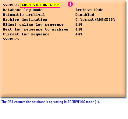 2) The DBA ensures the database is operating in ARCHIVELOG mode (1)