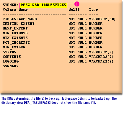 3) DBA determines the file(s) to back up. Tablespace OEM is to be backed up. The dictionary view DBA_TABLESPACES does not show the filename (1)