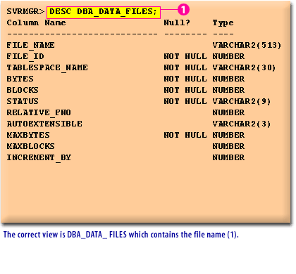 4) The correct view is DBA_DATA_FILES which contains the file name (1).