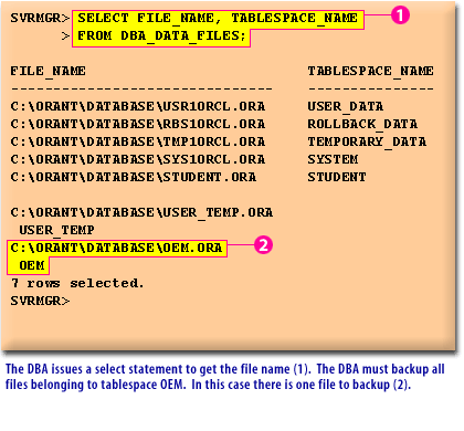 5) The DBA issues a select statement to get the file name(1). 