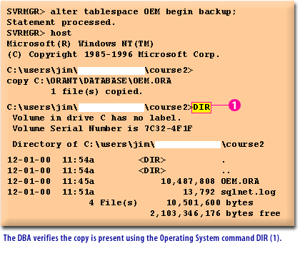 8) The DBA verifies the copy is present using the operating system command DIR(1)