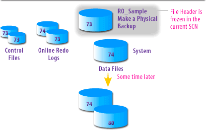 Make a Physical Backup