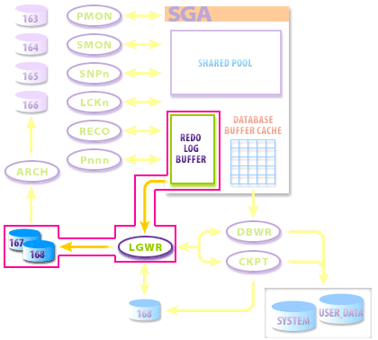 1) A redo record contains information that describes a single change to the database