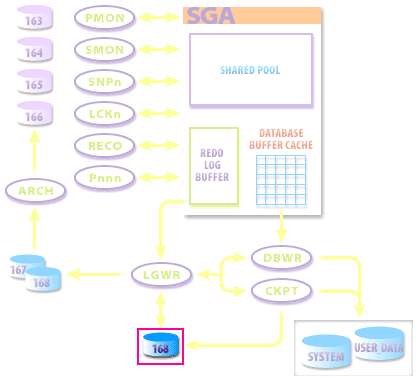 4) The control file is crucial to the functioning of a database