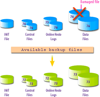 Damaged Data files along with the available backup files