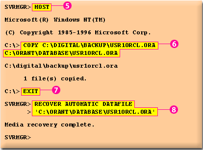 2) Since the file is offline, the DBA can restore the file.