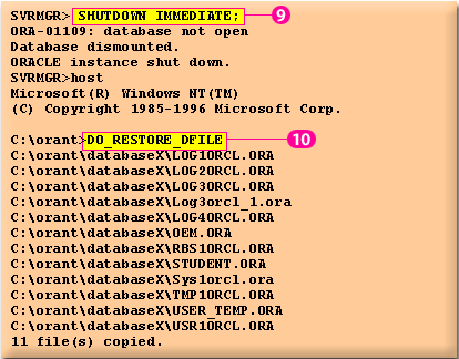 4) The DBA shuts down the database(9) to restore all the datafiles(10)