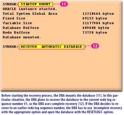 6) Before starting the recovery process, the DBA mounts the database.