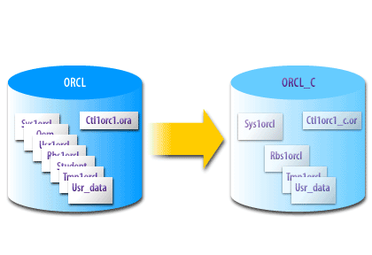 3) Create a copy of the primary database