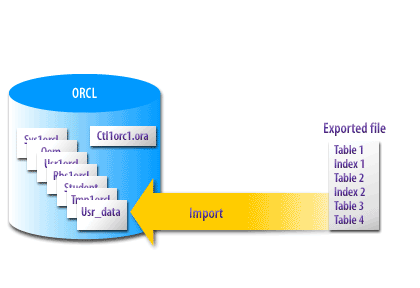 recovery point tablespace working export oracle import utility database primary using data into