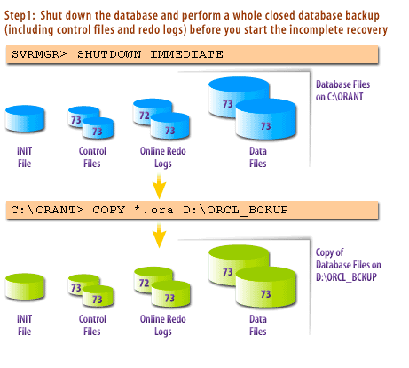 Step 1: Shut down the database and perform a whole closed database backup