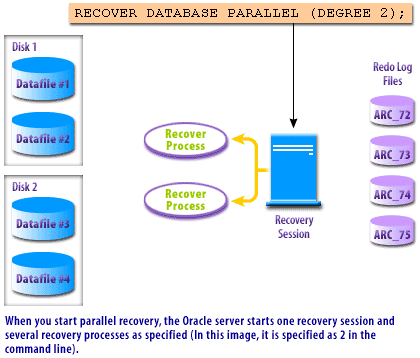 When you start parallel recovery, the Oracle server starts one recovery session and several recovery processes as specified in this image, it is specified as 2 in command line.