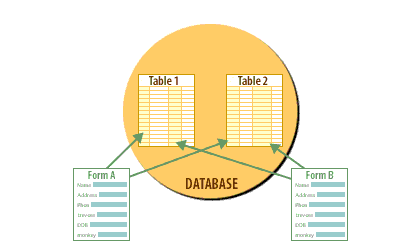 Create forms to make data entry easier.