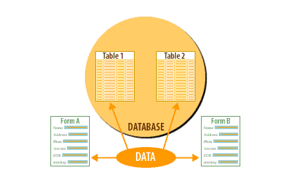 You can enter data directly into tables, or use one or more forms to enter data.