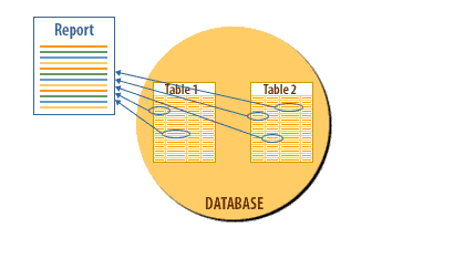 Create reports to display data and summarized data on paper