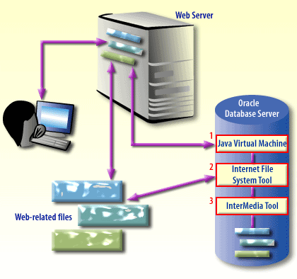 Database Internet Tools