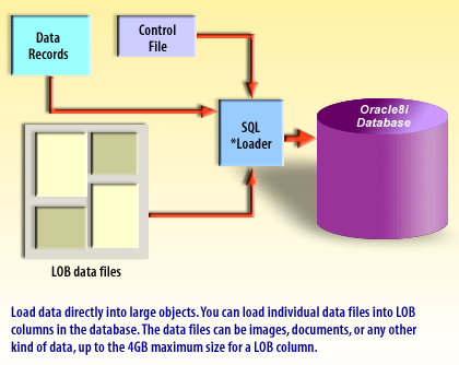 1) Load data directly into large objects. You can load individual data files into LOB columns in the database.
