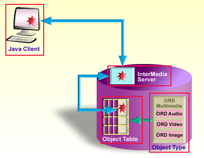 Components of interMedia