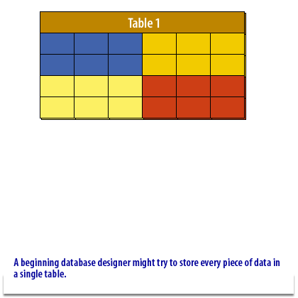 1) A novice database designer might attempt to store each piece of data in one table