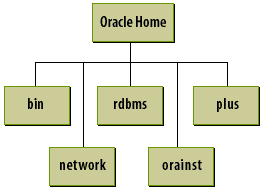 locating-oracle-home