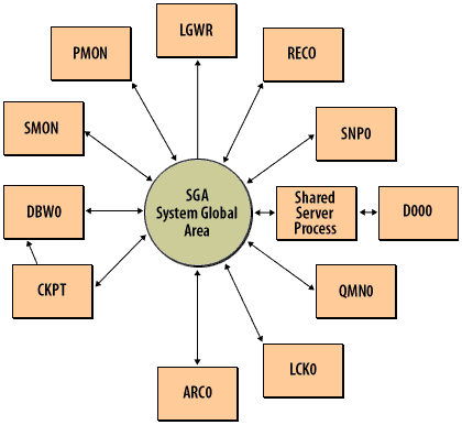 A memory area containing the database buffer cache, the redo log buffer, frequently used SQL statements, and other items critical to the operation of a database 