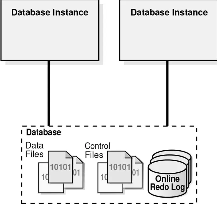 Oracle RAC Database