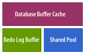 Database Buffer Cache, Redo Log Buffer, Shared Pool