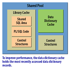 5) To improve performance, the data dictionary cache holds the most recently accessed data dictionary records.