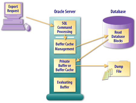 Direct path export