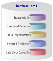 Export Import Mouse database operations